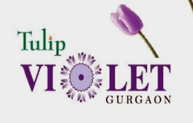 Paradise Consulting Tulip Violet 69